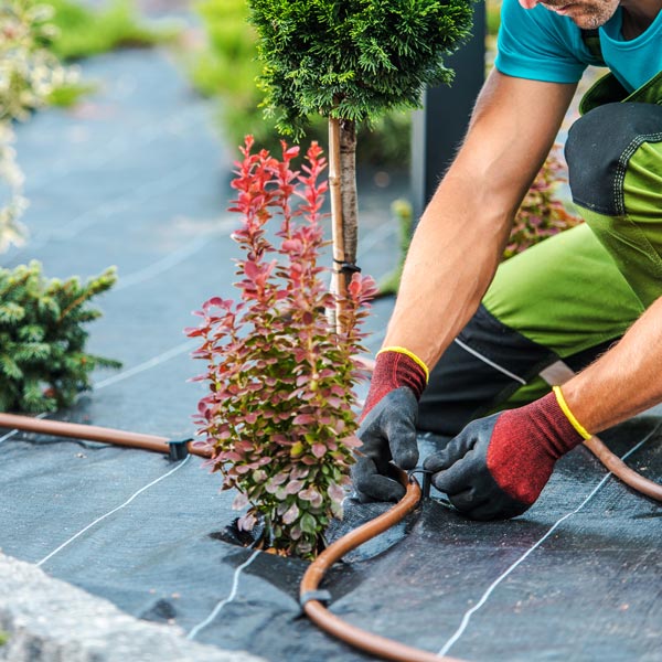 Drip irrigation for garden beds